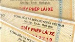 Chính thức cấp giấy phép lái xe có tính bảo mật cao